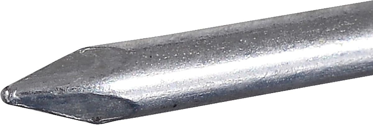 Anchor Wire Electro-Galvanized Roofing Nails for Framing 1" x #11, 100 Pack
