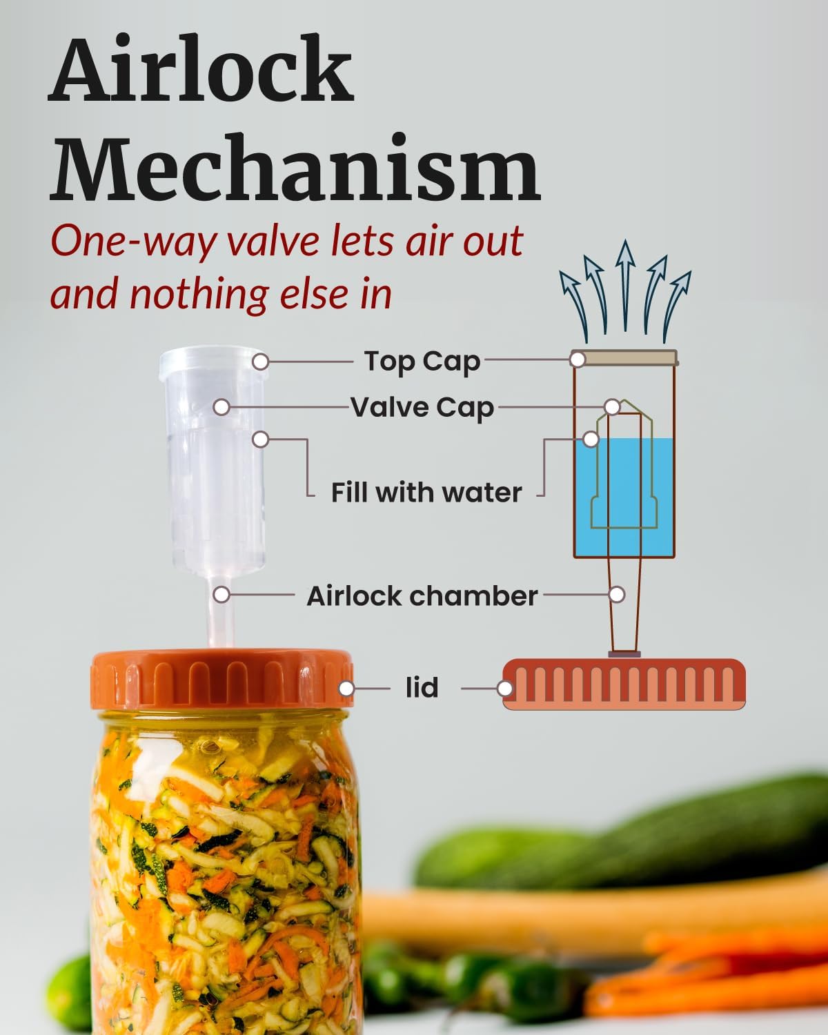 Fermentation Lids Set of 2 - Make Delicious Kimchi & Sauerkraut at Home, Starter Fermentation Kit for Wide Mouth