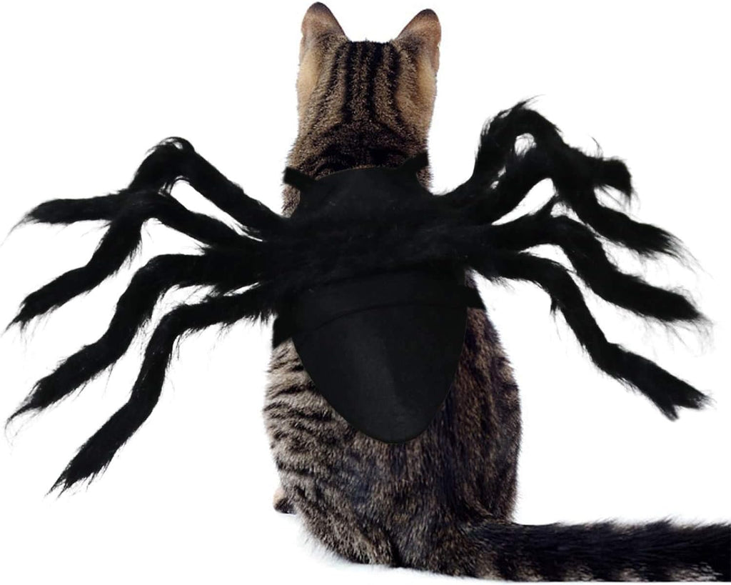 Halloween Spider Costume for Dog Cat, Halloween Pet Costume Halloween Decorations, Spider Decor Halloween Party