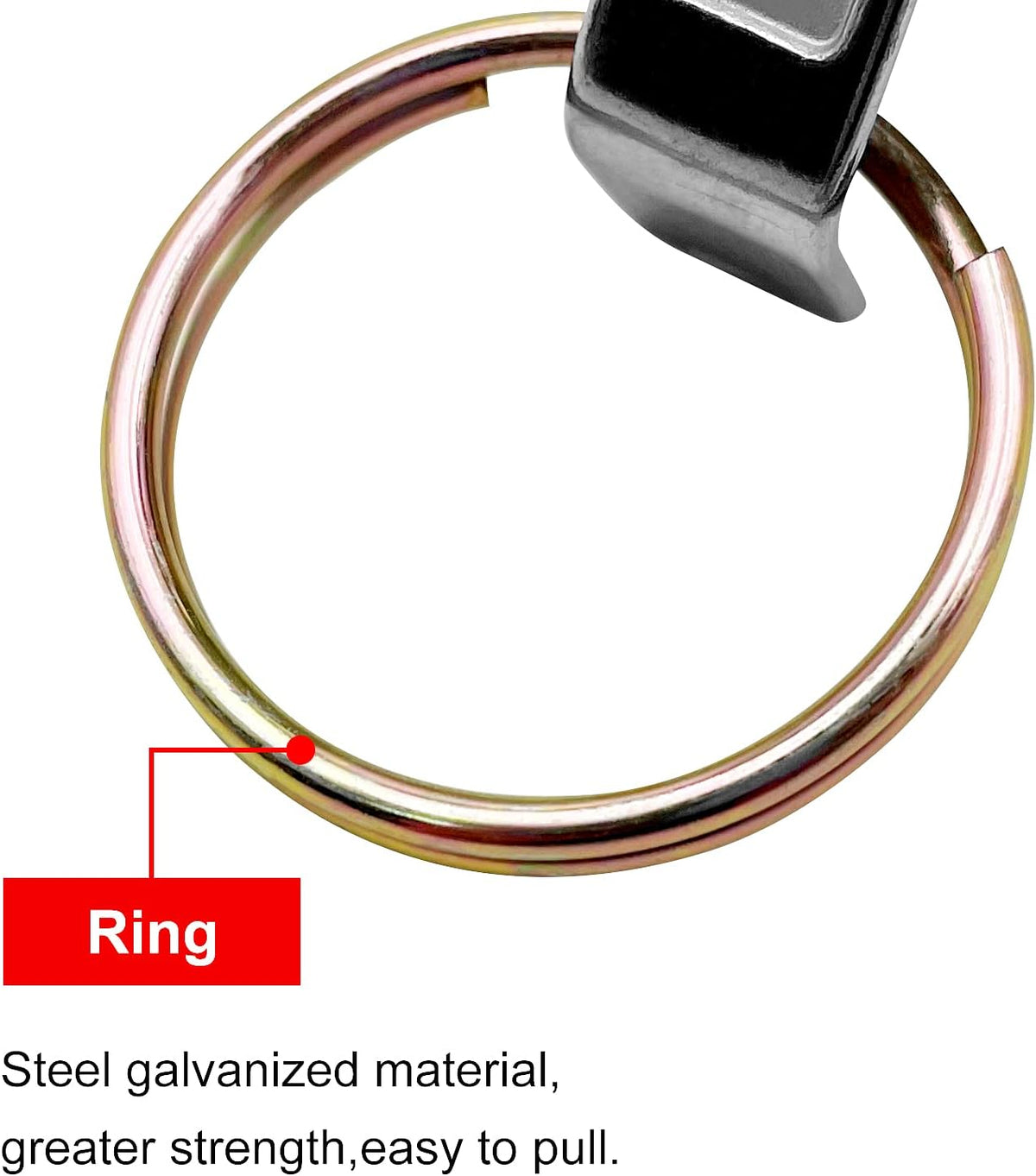 2PCS Global Type C Cam and Groove Hose Fitting, Socket x Hose ID Barbed, with 2 PCS Camlock Gasket Fitting(1.5")