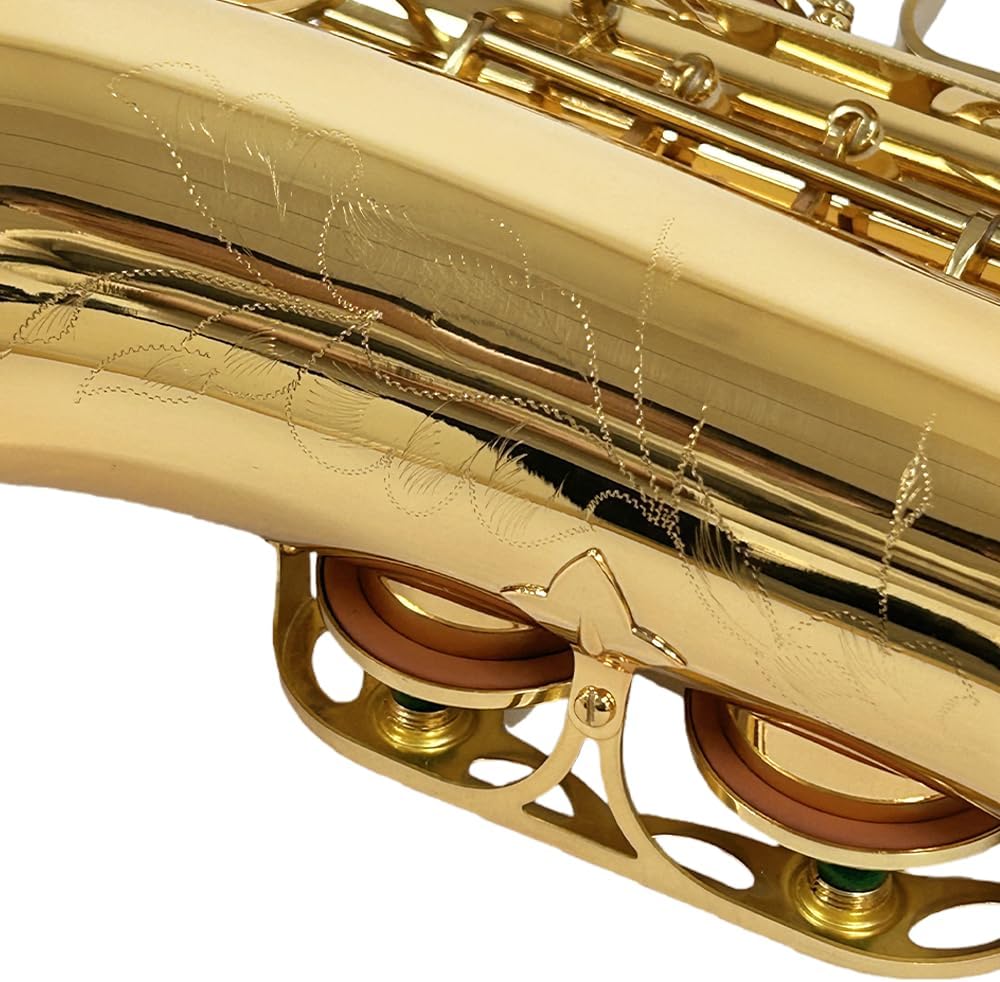 Eb Alto Saxophone For Beginners Adult,Saxophone Student,E Flat Alto Sax Full Kit With Reeds,Pads Cushions,Hard