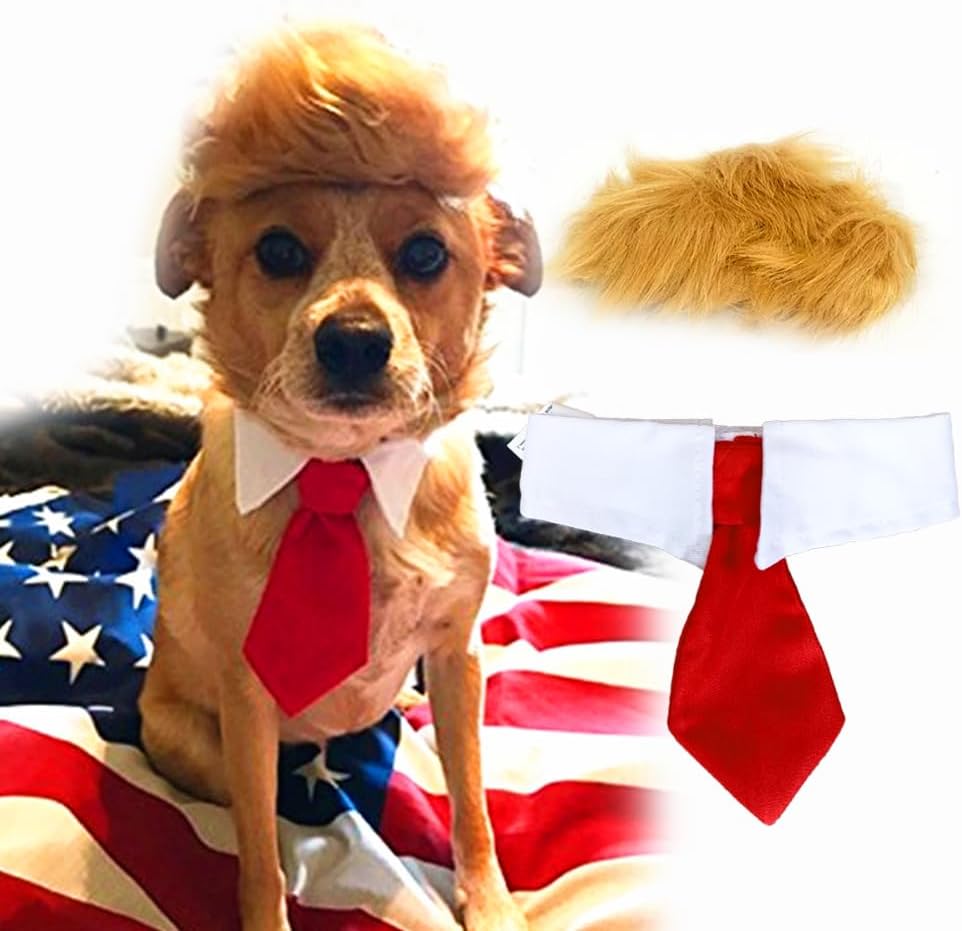 Trump Style Pet Costume Dog Wig, Dog Clothes with Collar & Tie Head Wear Apparel Toy for Halloween, Christmas
