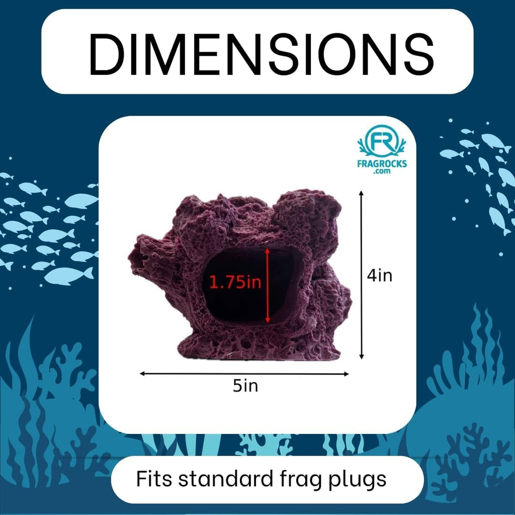 7 Hole Barnacle Cave frag Rock sandbed Base for Live Coral frag Plugs for Reef Aquariums (Coralline Purple)