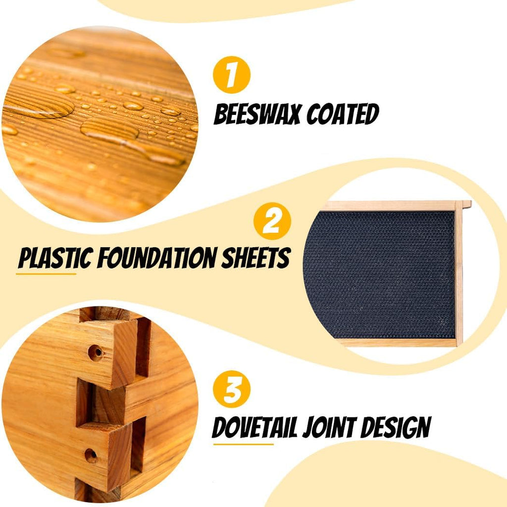 10-Frame Beehives Starter Kit – Complete Langstroth Hive with 1 Deep Brood Box & 1 Medium Super, Beeswax-Coated