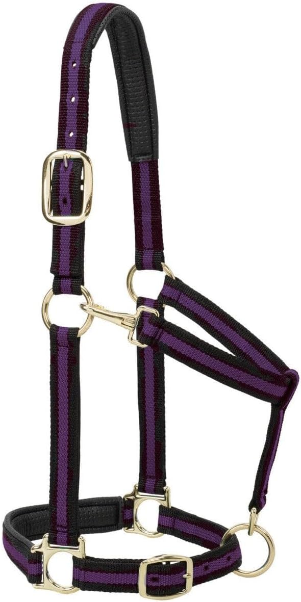 Weaver Leather Nylon Horse Halter, Padded and Adjustable, Chin and Throat Snap Hook Halters for Horses, Brass Plated