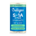 S1A Whole House Standard Water Filter Cartridge, 20 Micron, 16,000 Gallons, 2-Pack – Reduces Sediment, Rust, Scale