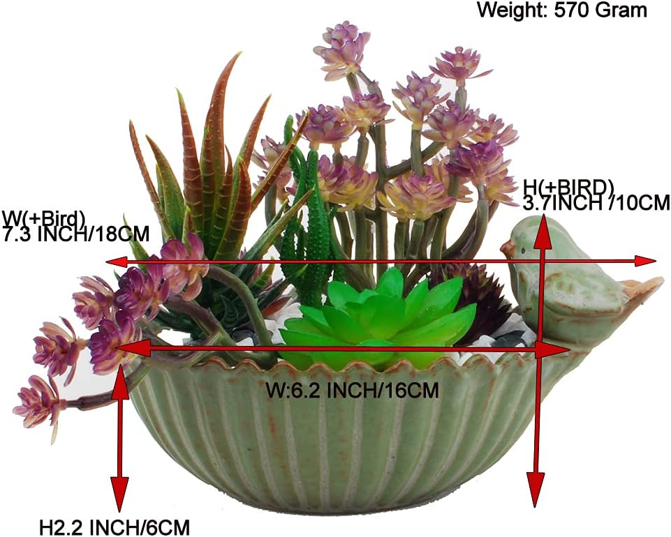 Special Design Fun Garden 6INCH Flower Planter Succulent Pot Indoor OutdoorPlanter (Bird)