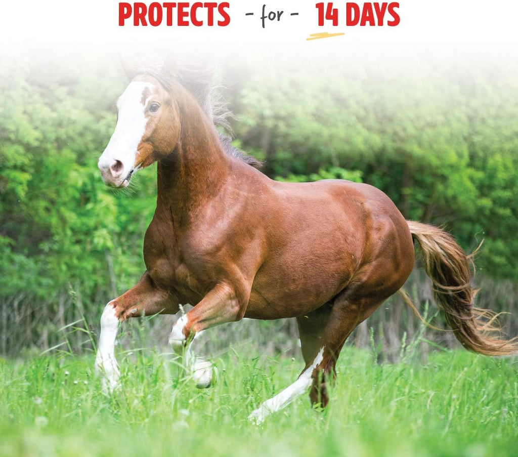 Pro-Force Horse Fly Spray, Ready-to-Use Formula, 32 oz