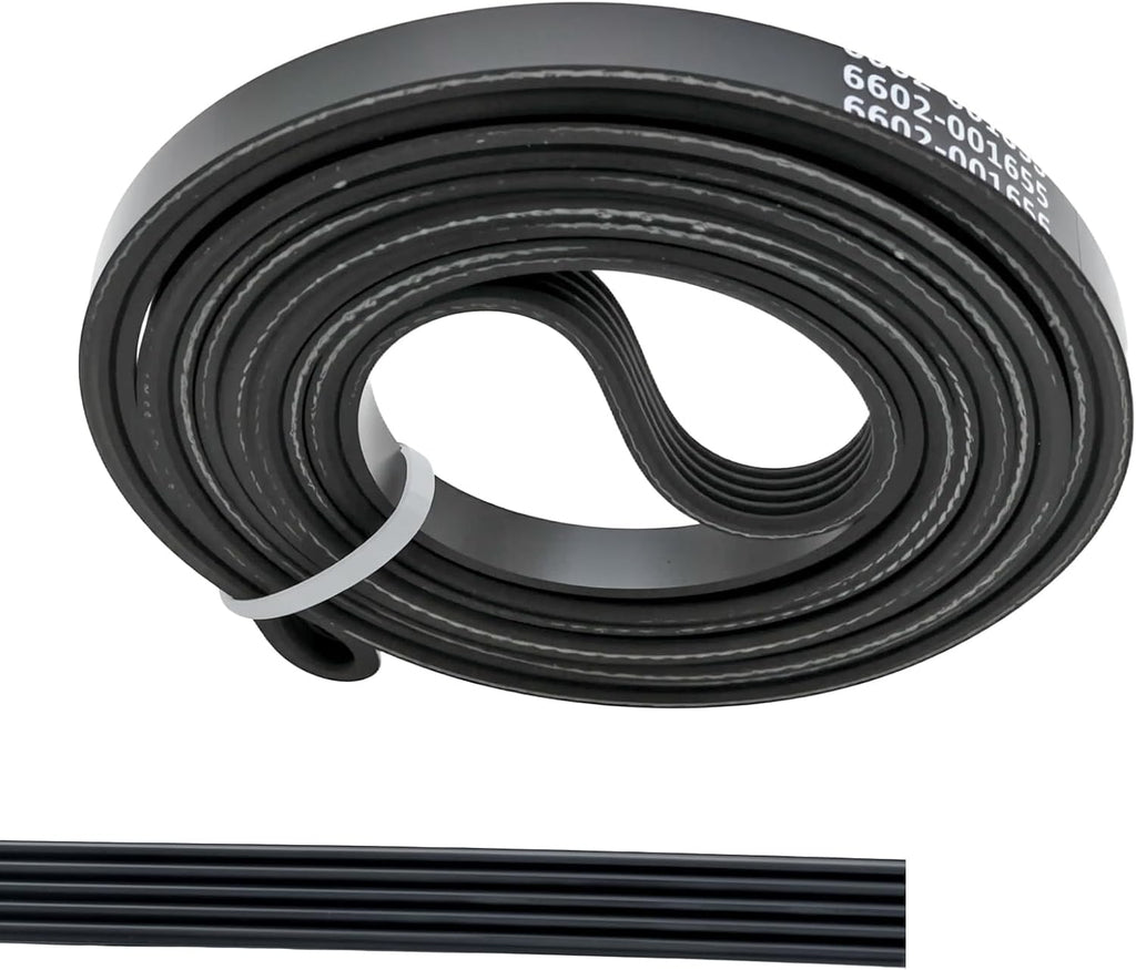 Dryer Drum Belt Compatible with Sam sung DV400EWHDWR/AA DV409AEW/XAA DV40J3000EW/A2 DV40J3000GW/A2 DV410AEW/XAA DV419AEW/XAA (5 ribs and 4 grooves)