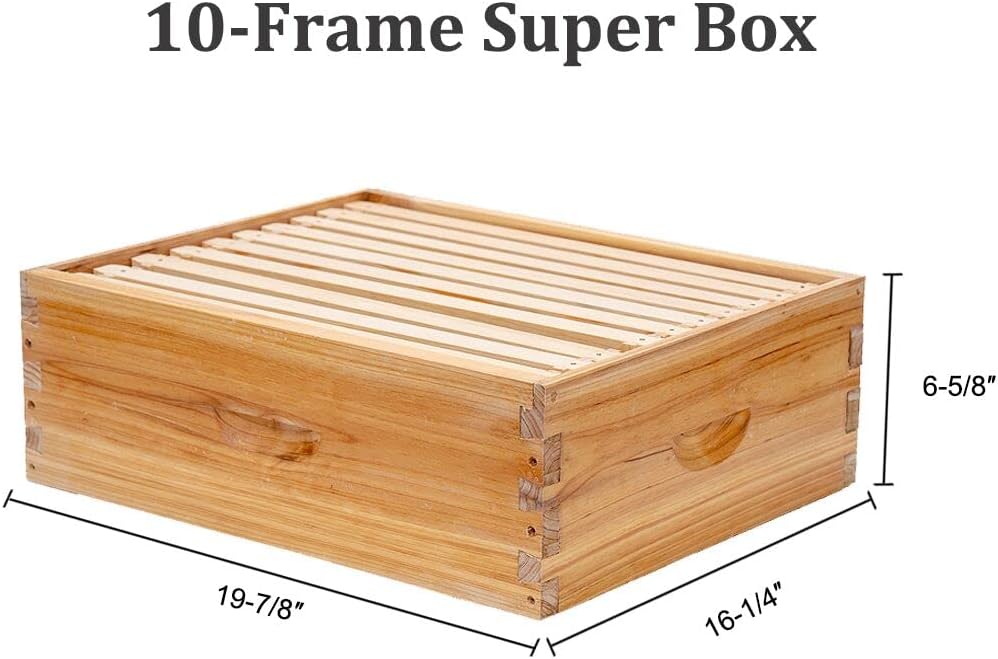 10-Frames Complete Beehive Kit, 100% Beeswax Coated Bee Hive Includes Beehive Frames and Beeswax Coated Foundation