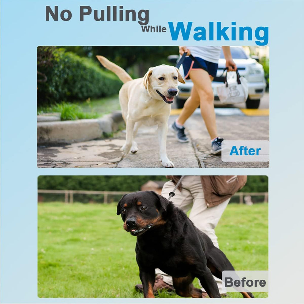 Prong Collar for Dogs, Dog Training Collar for Small Medium Large Dogs | Pinch Collar, Adjustable Size, No Pull