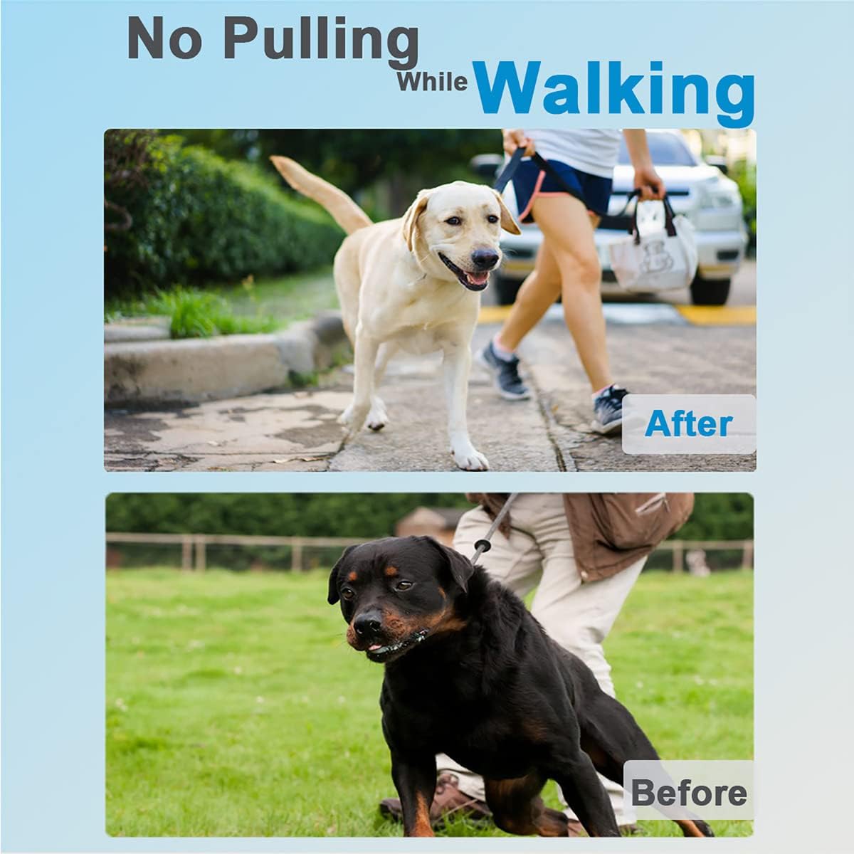 Prong Collar for Dogs, Dog Training Collar for Small Medium Large Dogs | Pinch Collar, Adjustable Size, No Pull