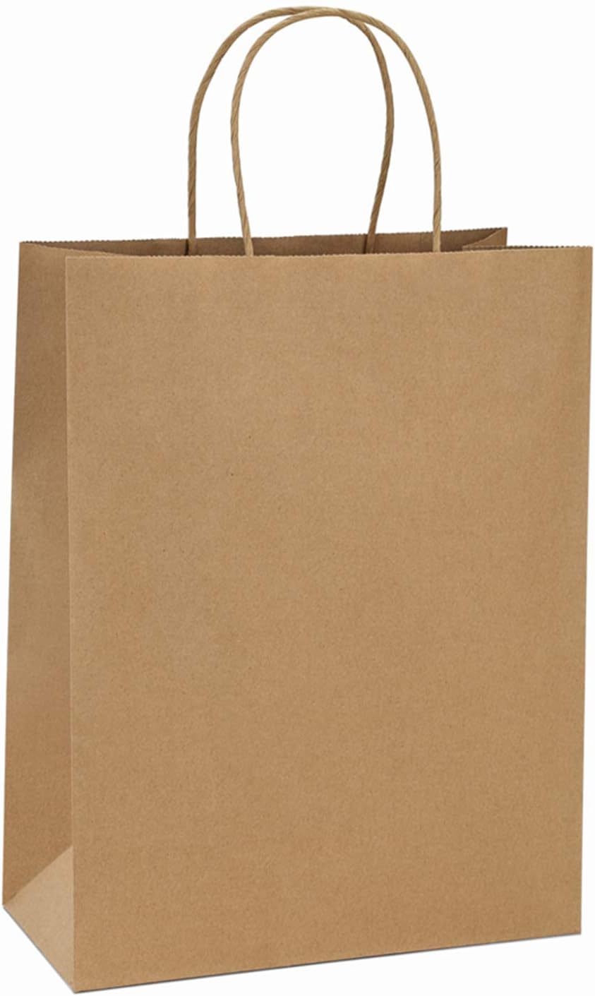 Kraft Paper Bags with Handles 10x5x13 Inch Brown 100 Pack Bulk