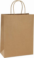 Kraft Paper Bags with Handles 10x5x13 Inch Brown 100 Pack Bulk