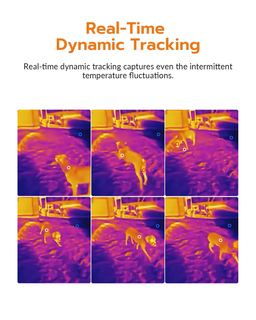 GT16S Thermal Imaging Camera AI Scene Detection, Thermometer Mode
