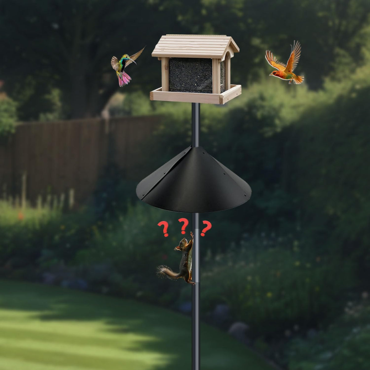 Squirrel Baffle for Bird feeders Pole, Squirrel Proof Cone.