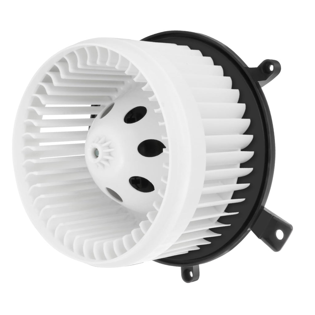 SCITOO HVAC Heater Blower Motor with Fan Cage Front 700252