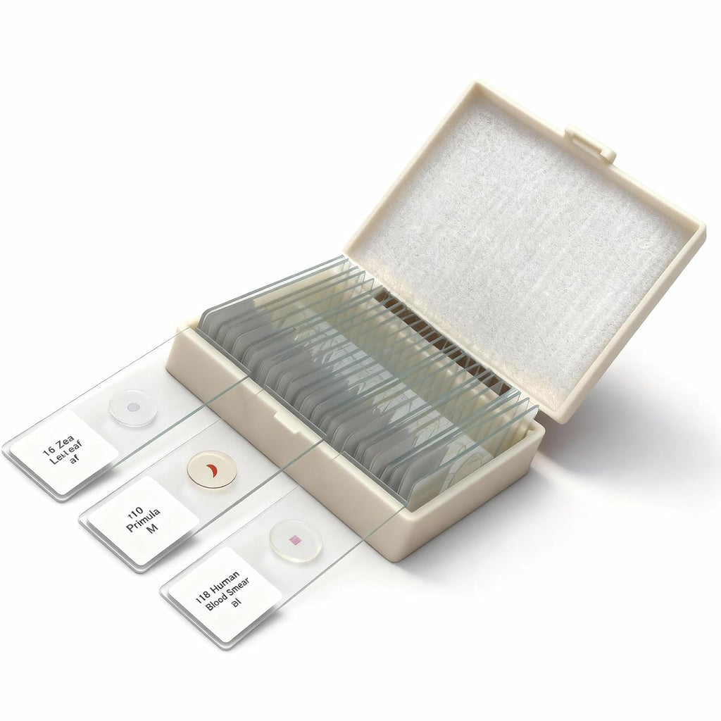 25 Prepared Microscope Slides Set for Apologia Biology | Ready-to-View, Clearly Labeled Specimens in a Storage Case |