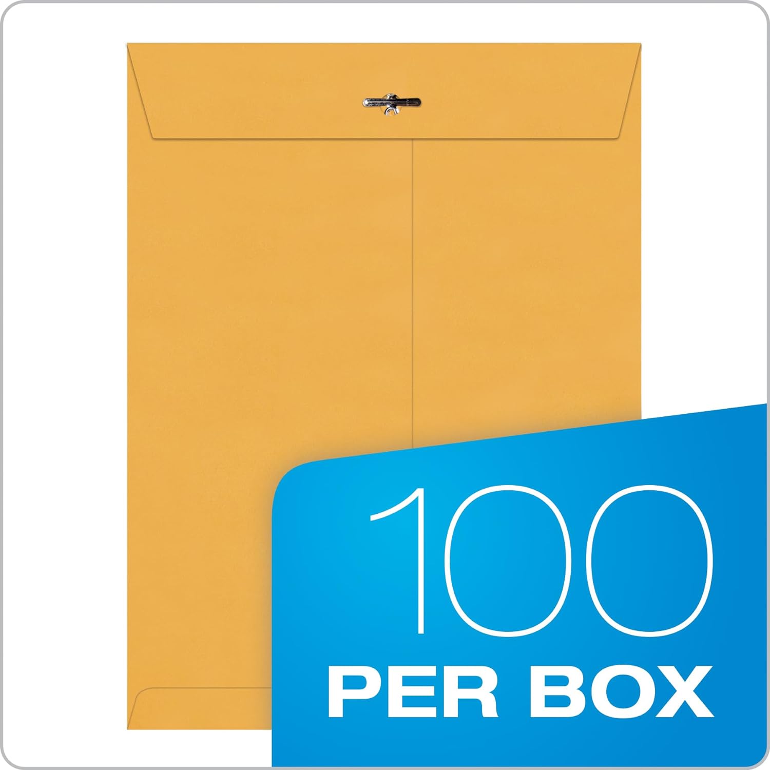 9 x 12 Clasp Envelopes with Deeply Gummed Flaps, Great for Filing, Storing or Mailing Documents, 28 lb Brown Kraft