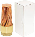Foot Valve, 2" One-Way with PURE Copper Zebra Mussel Strainer