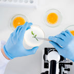 Nutrient Agar Plates 70mm Ready-to-use Agar Plates, Triple-Sealed Petri Dishes for Classroom, DIY Science Projects &