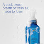 Foaming Hand Soap, Crisp Morning Air, 3 Pack