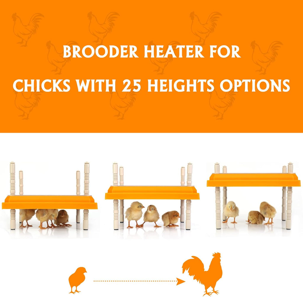 Brooder Heater for Chicks Height Adjustable: Heating Plate with Easy- Cleaning Plate Poultry Coop Warmer 10" x 10"