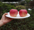 7 inch and 9 inch Heavy-duty Compostable Plates (each 50 Count), 100 Count Unbleached Disposable Paper Plates