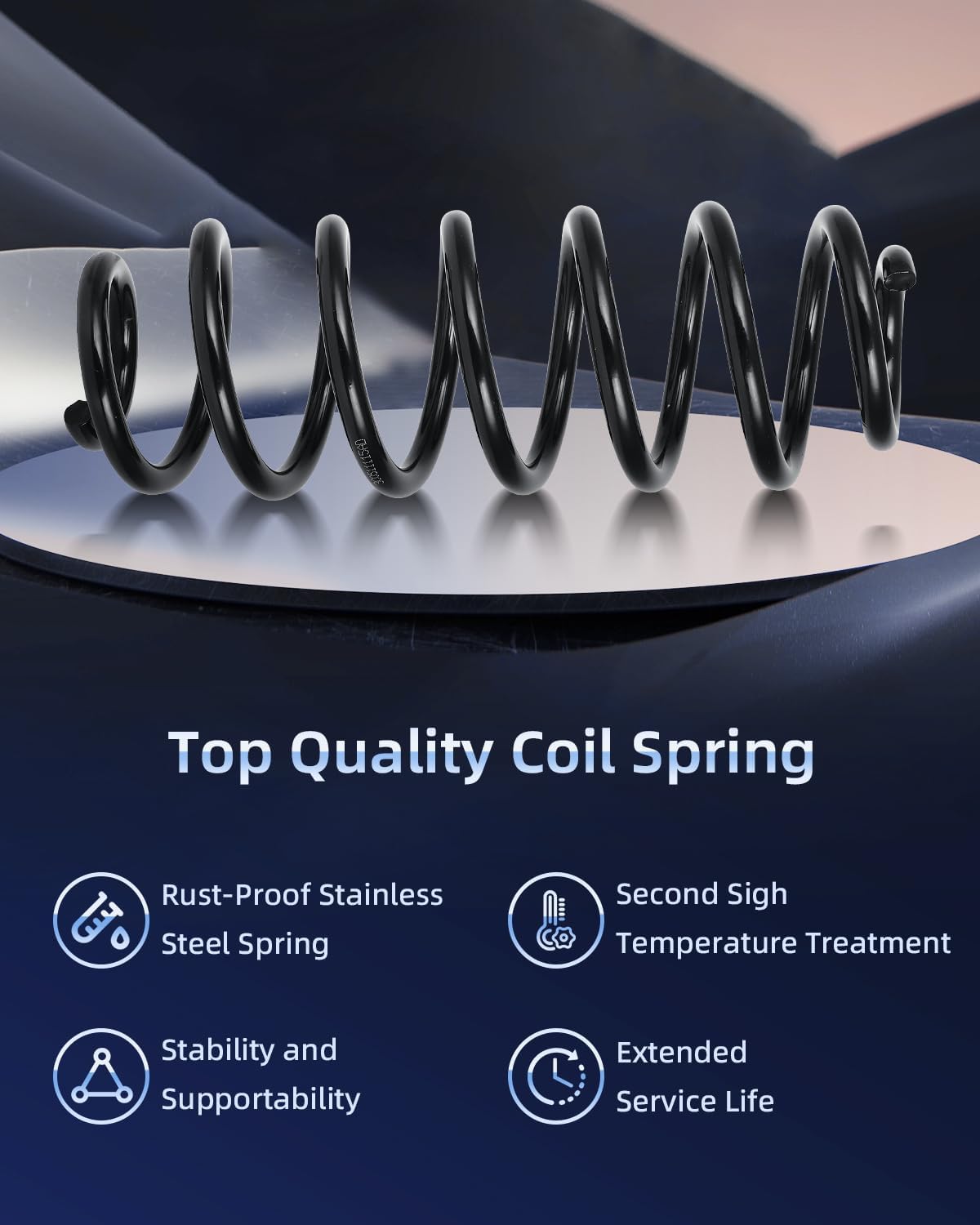 ECCPP Coil Springs Suspension Coil Spring Set for Volkswagen for Passat