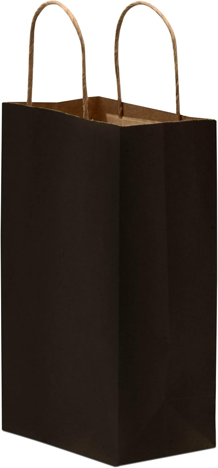 Retail Bags for Small Business, 6x3x9 Inch, 100 Pack | Extra Small Black Gift Bags Bulk with Handles for Shopping