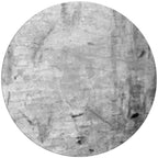 3" (10d) Common Framing Nail 2745-Ct
