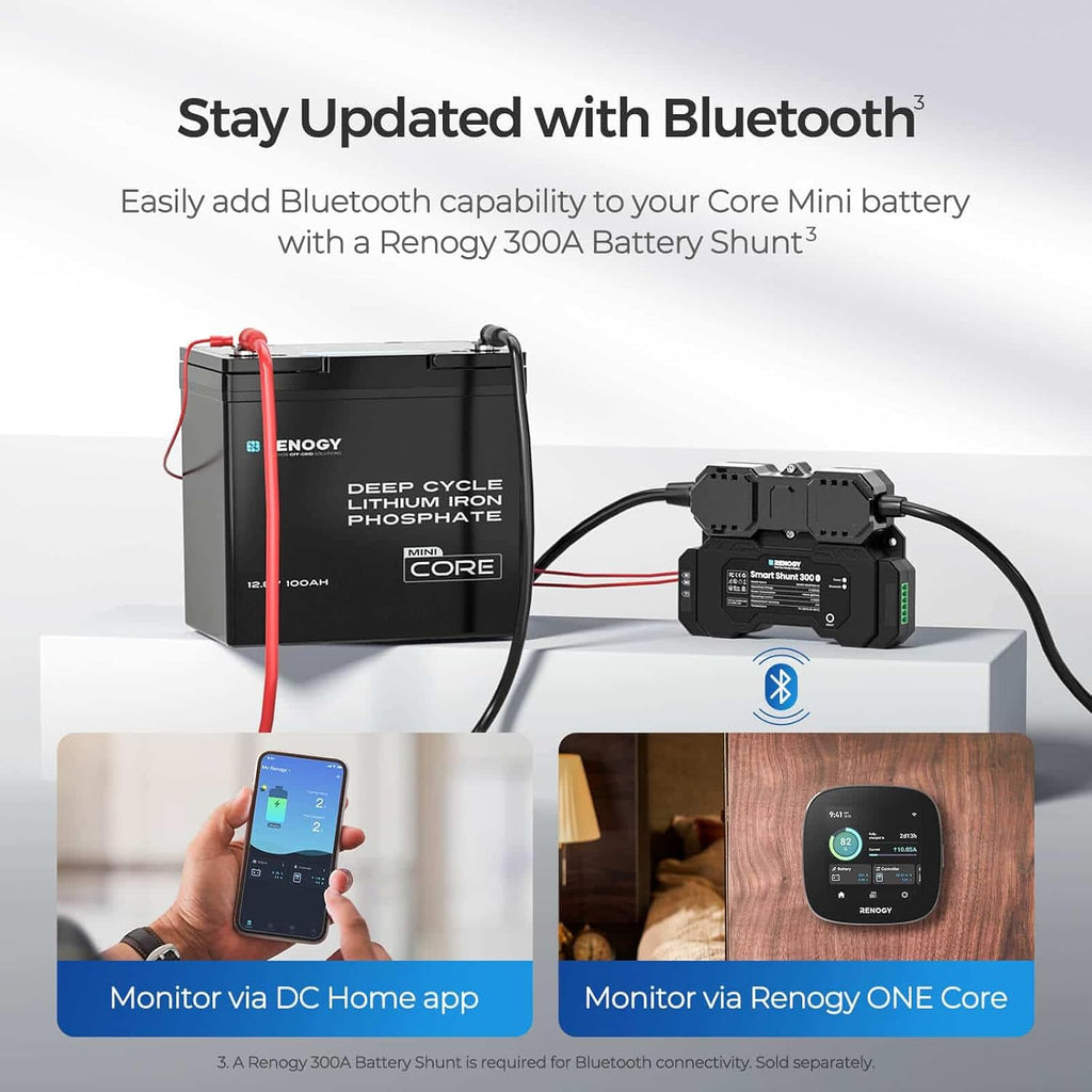 12V 100Ah LiFePO4 Lithium Battery Mini Size, 100A BMS for Ultimate Safety, Deep Cycle w/Remote Monitoring