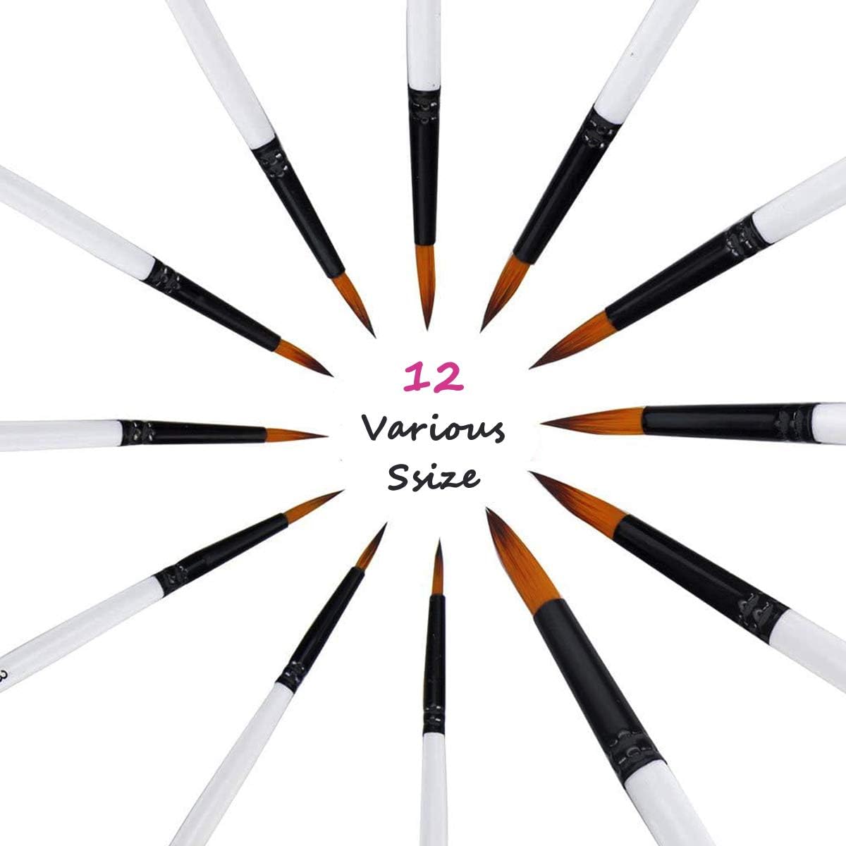 Acrylic Paint Brushes Set, 12pcs Professional Round-Pointed Tip Artist Paintbrushes for Acrylic Watercolor Oil
