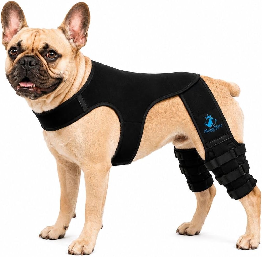 Dog Rear Knee Brace for Small & Medium Breeds, Adjustable Hind Leg Support for ACL/CCL Injury Recovery, Joint