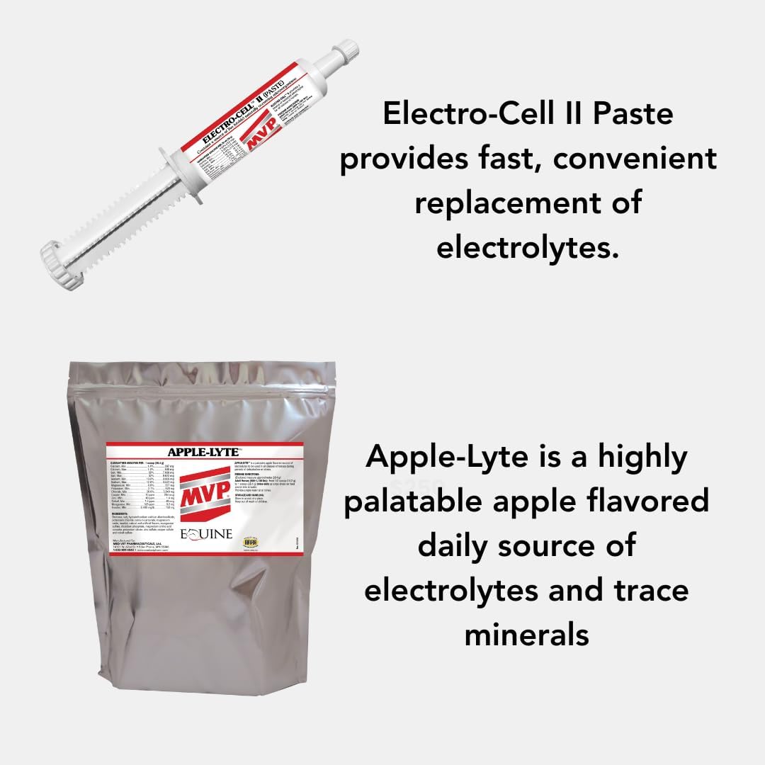 Electro-Cell II Electrolyte Paste with Probiotics for Horses