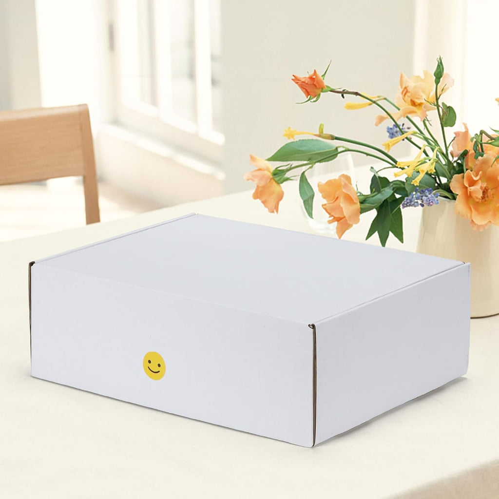 12x9x4 inches Shipping Boxes Set of 1, White Corrugated Cardboard Mailer Box for Packing, Mailing, Small Business