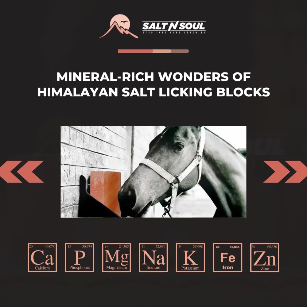 Himalayan Salt Lick Horses (5.5 lbs Each) Pack of 2 | Deer Salt Lick Block | Licking Block for Animals | Pink Salt