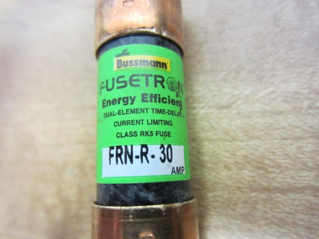 Fuse Dual Element 30A