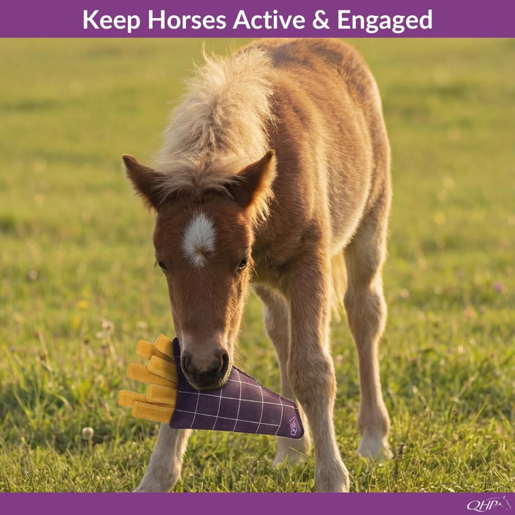 Horse Toy Snackcounter | Horse Stall Toy | Horse Enrichment Toy