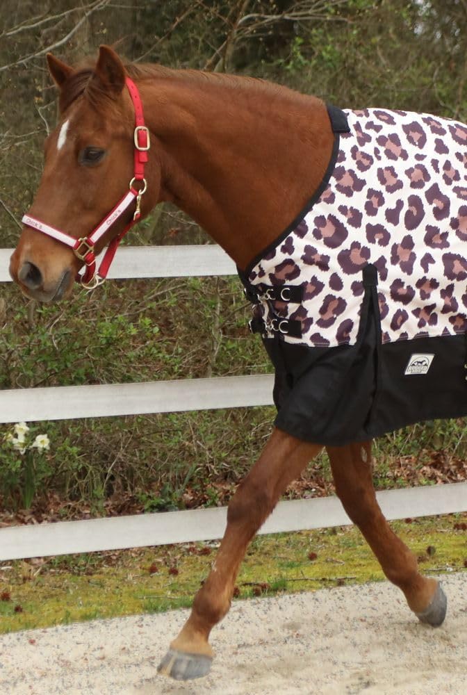 Leopard 1200 Denier Waterproof Turnout Sheet
