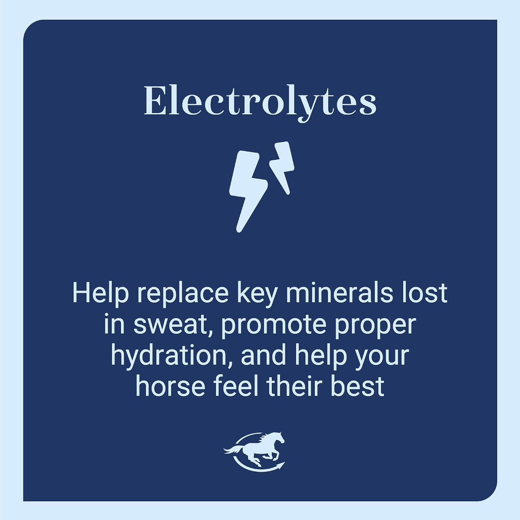 SmartLytes Paste Horse Electrolyte Paste, Pack of 6 Tubes