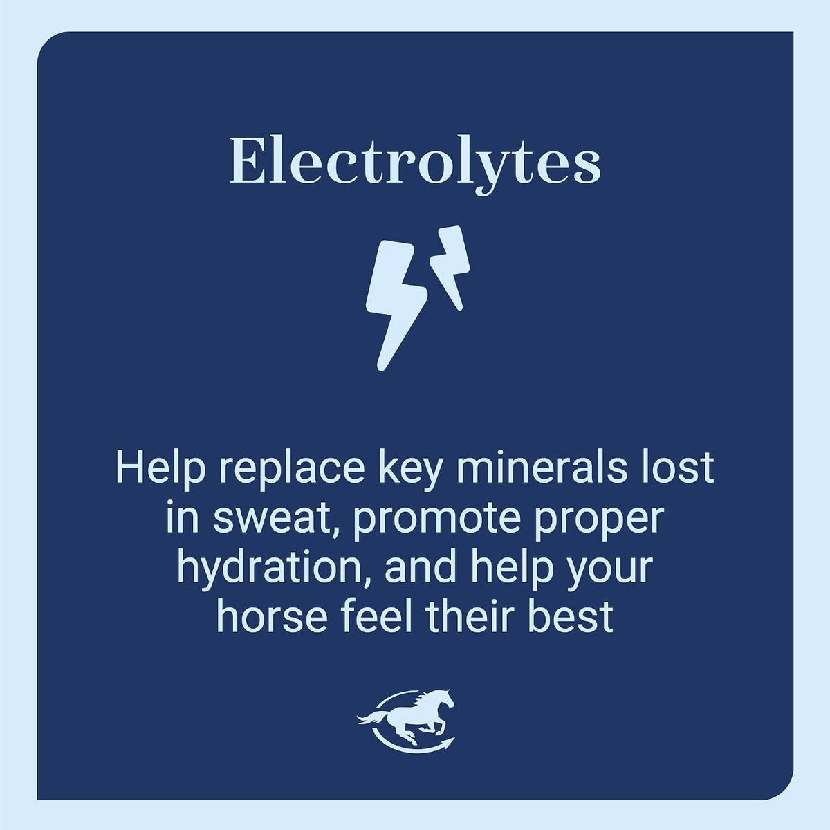 SmartLytes Paste Horse Electrolyte Paste, Pack of 6 Tubes