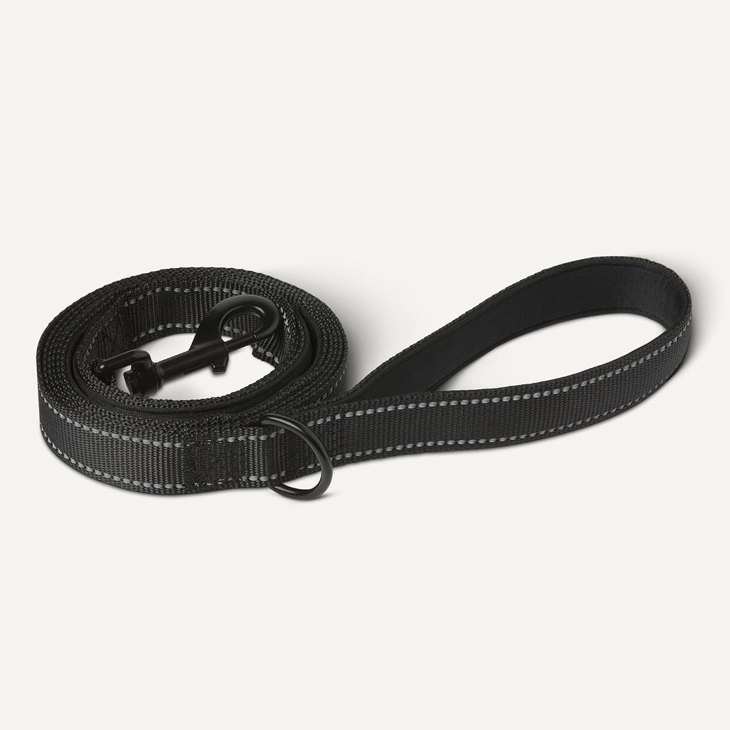 Dog Leash, 6ft with 2 Comfortable Dual Padded Handles for Traffic Control, Highly Reflective Leashes for Large &
