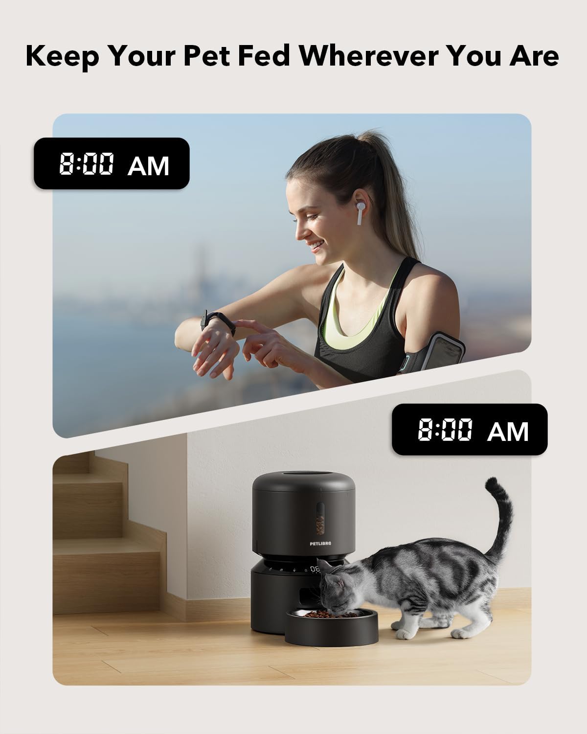 Automatic Cat Feeder, Timed Dry Food Dispenser for Cat & Small Dog