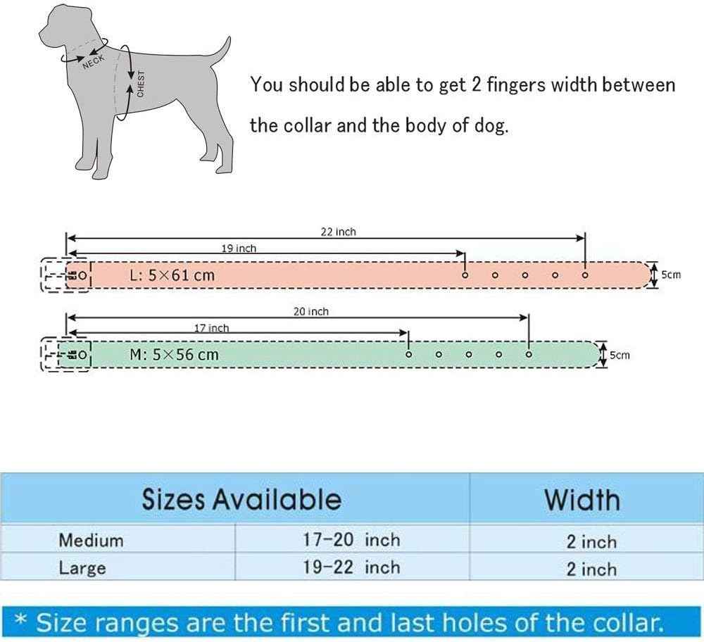 Rhinestones Dog Collars Flower Pattern Rhinestone Studded Leather Sparkly Crystal Diamonds Dazzling Sparkling Elegant