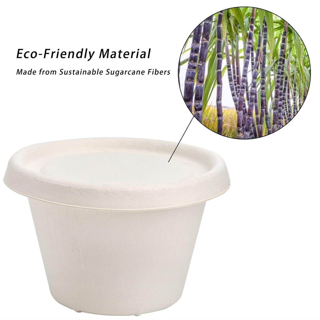 100 Pack Disposable Cups with Lids, 4.5Oz Bagasse Compostable Ice Cream Cup, Small Condiment Portion Sample Container