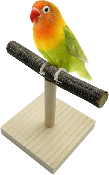 Portable Tabletop Bird Perch, Parrot Training Stand, Natural Wood Bird Play Stands for Parakeets Conures Finches
