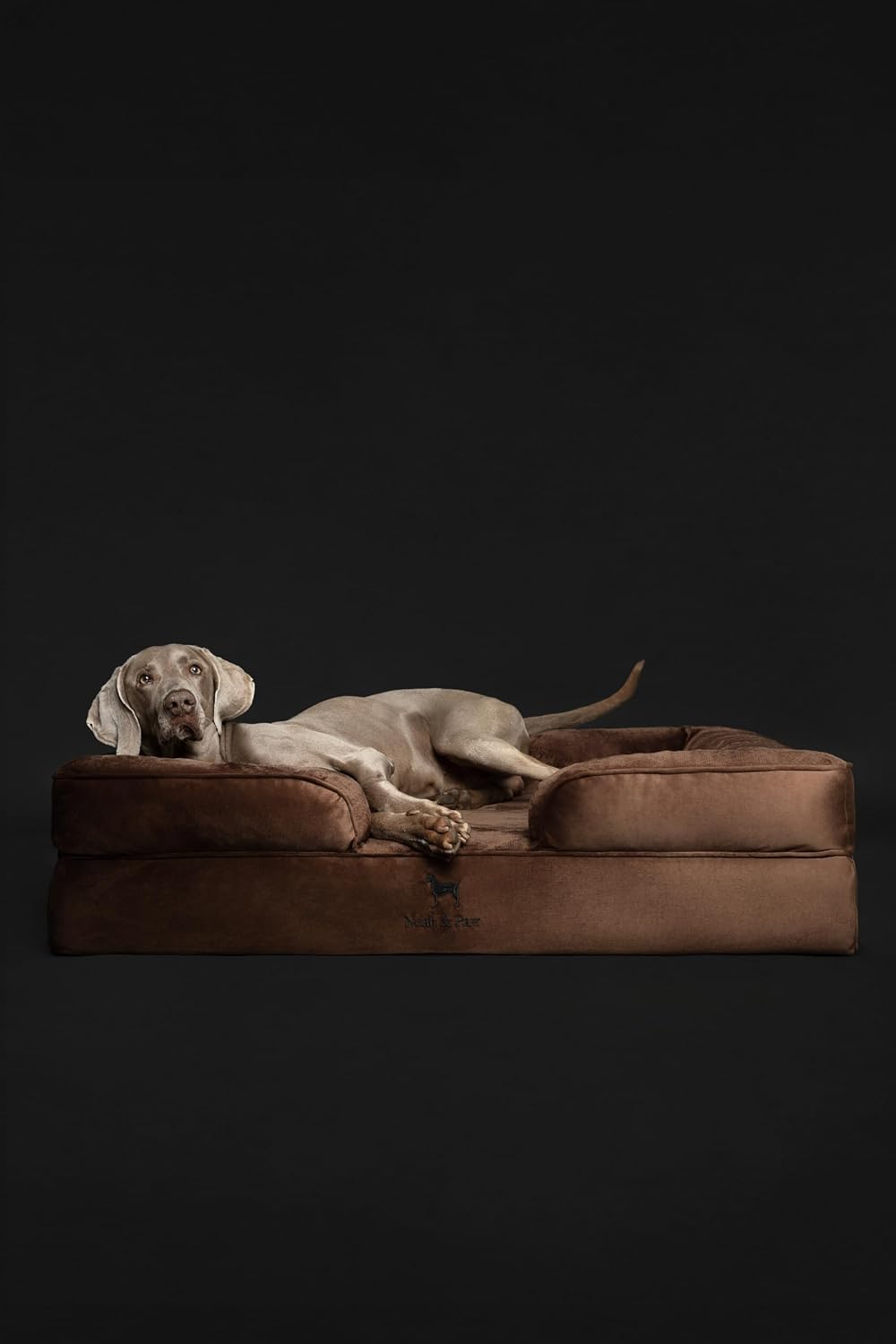 XL Dog Bed, 45x35x11 Inch, Orthopedic Large Dog Beds, Eggshell Memory Foam Infused with Cooling Gel, Inner Cover
