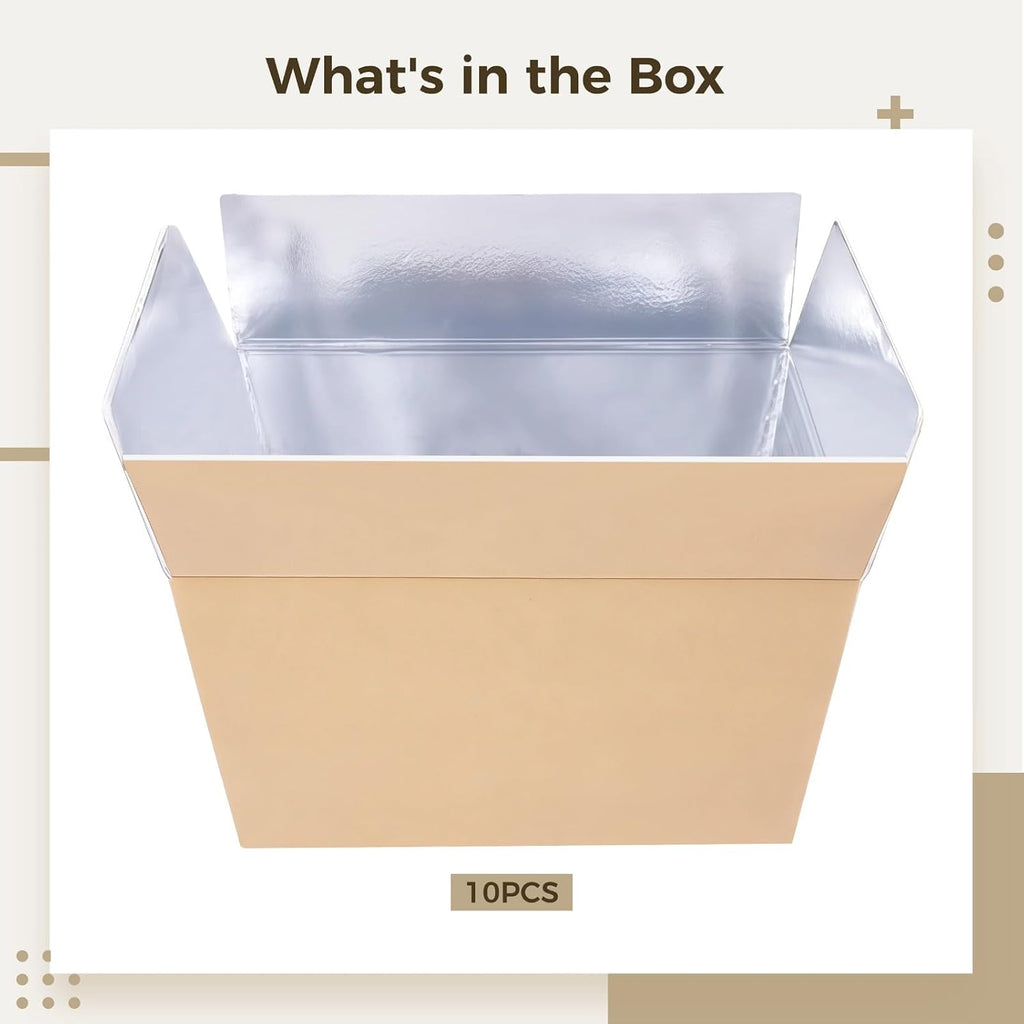 Insulated Shipping Boxes, 10-Pack, 8.7 X 4.7 X 5.7 in, Foam Cooler, Foldable