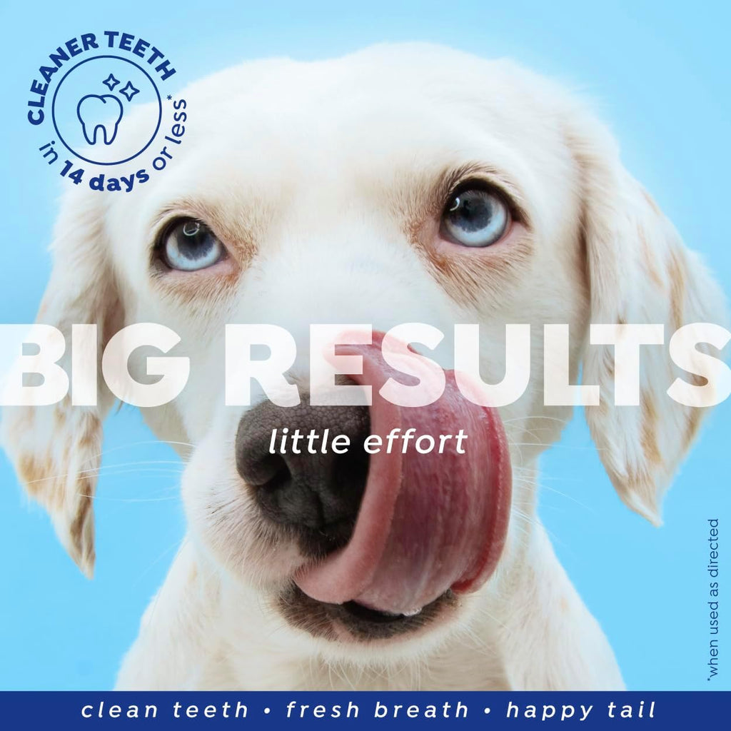 Naturél Promise Fresh Dental Breath Freshener & Teeth Cleaning Water Additive for Dogs, 18 oz Bottle